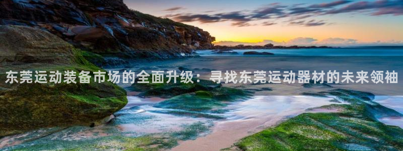 意昂体育4招商电话：东莞运动装备市场的全面升级：寻找东莞运动