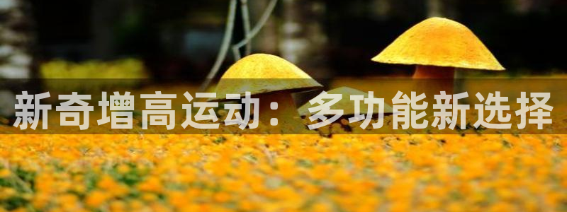 意昂4娱乐平台：新奇增高运动：多功能新选择