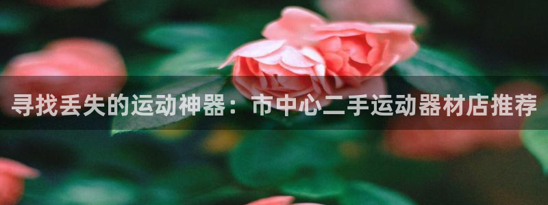 意昂4集团简介：寻找丢失的运动神器：市中心二手运动器材店推荐