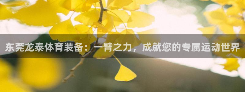 意昂体育4平台是正规平台吗知乎：东莞龙泰体育装备：一