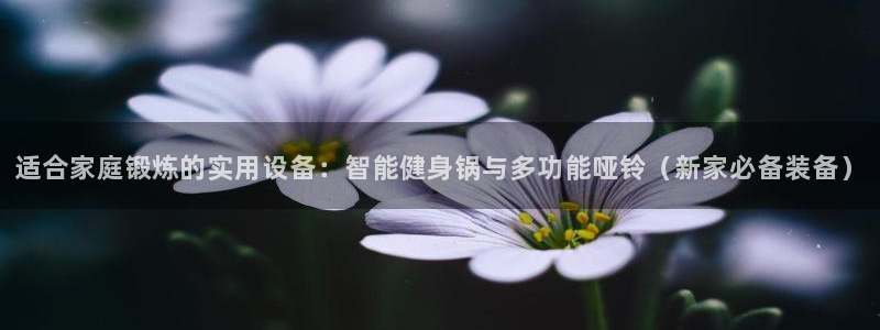 意昂体育4平台是正规平台吗知乎：适合家庭锻炼的实用设备：智能