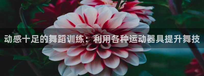 意昂体育4招商电话号码查询是多少：动感十足的舞蹈训练：利用各