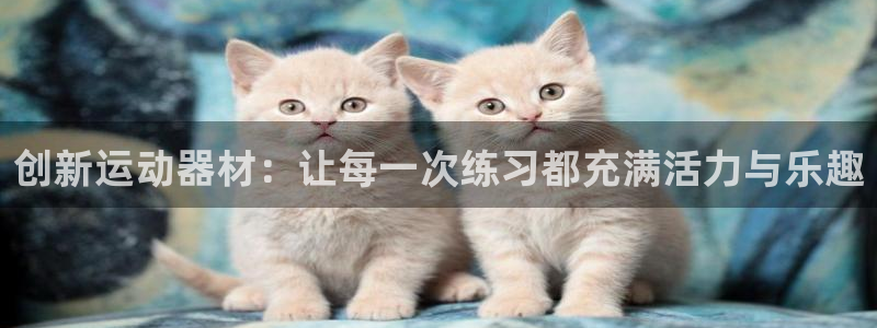 意昂4科技：创新运动器材：让每一次练习都充满活力与乐趣