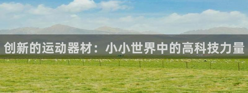 意昂体育4平台注册要钱吗安全吗：创新的运动器材：小小