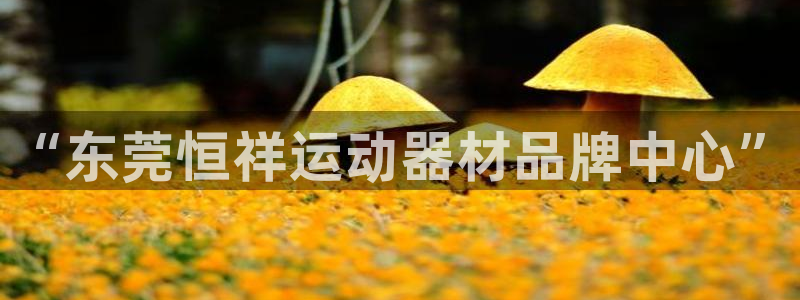意昂4娱乐首页官网下载