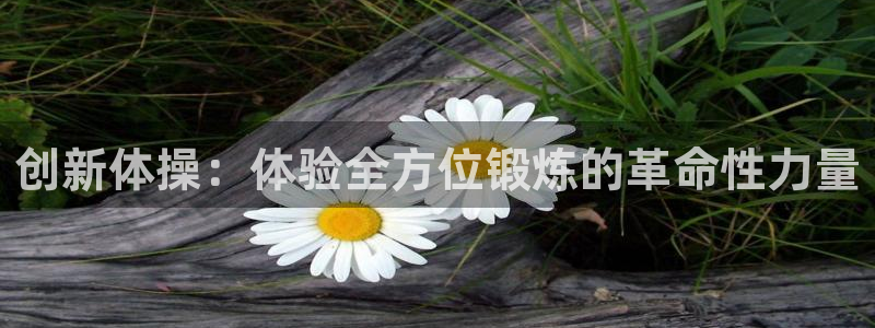 意昂4娱乐代理怎么样：创新体操：体验全方位锻炼的革命性力量