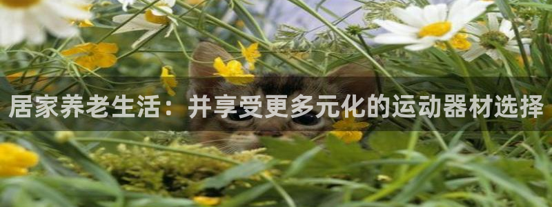 意昂4集团logo：居家养老生活：并享受更多元化的运