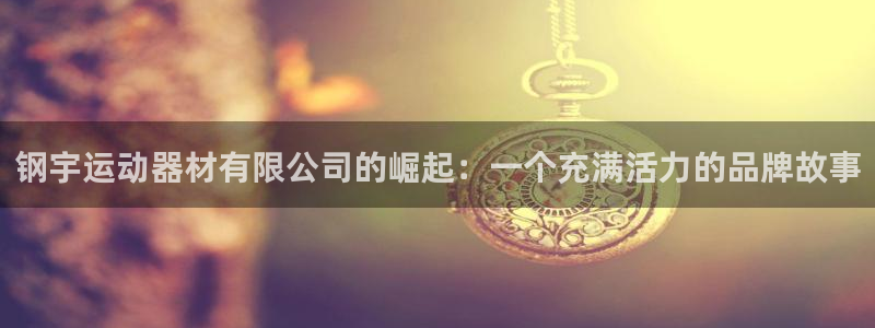 意昂体育4平台APP：钢宇运动器材有限公司的崛起：一个充满活