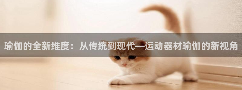 意昂4娱乐下载：瑜伽的全新维度：从传统到现代—运动器材瑜伽的