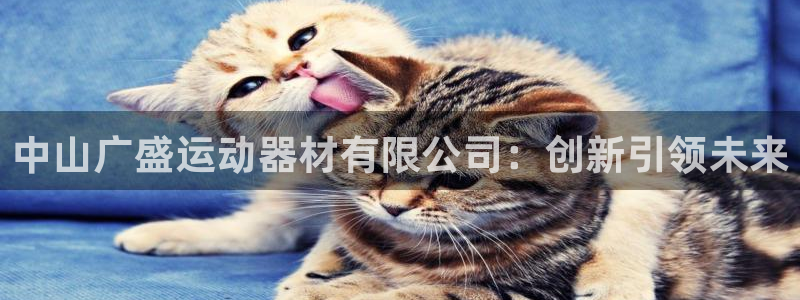 意昂4娱乐40996：中山广盛运动器材有限公司：创新引领未来