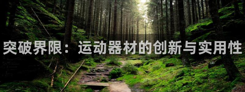 意昂体育4是干嘛的公司