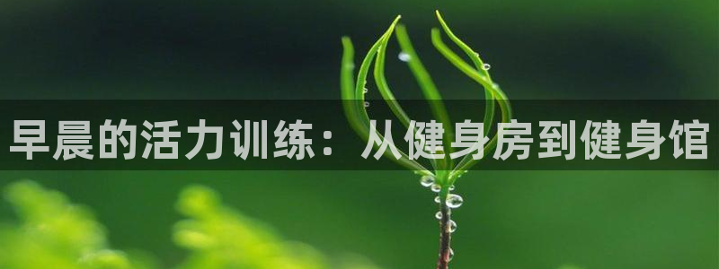 意昂4集团简介：早晨的活力训练：从健身房到健身馆