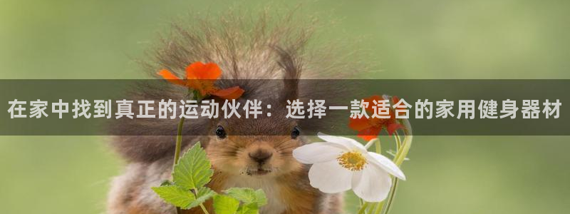 意昂体育4招商电话地址是多少：在家中找到真正的运动伙