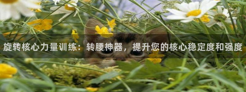 意昂体育4招商电话是多少：旋转核心力量训练：转腰神器