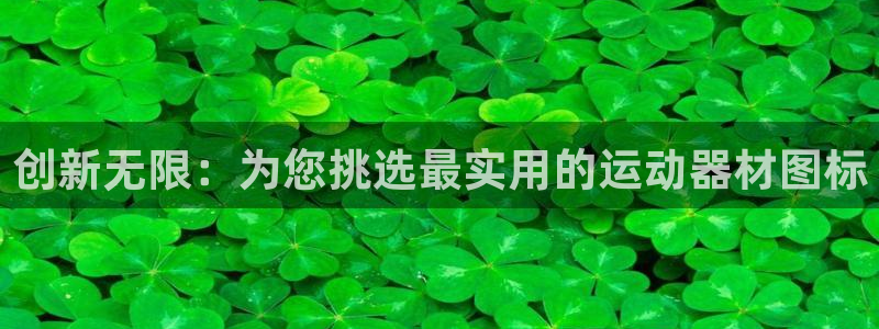 意昂体育4软件：创新无限：为您挑选最实用的运动器材图标