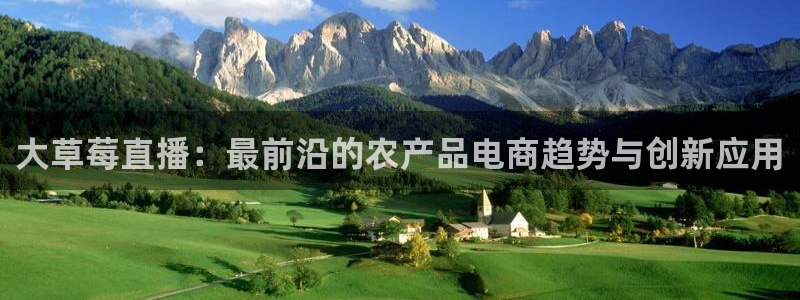 9255tv直播无插件nba：大草莓直播：最前沿的农产品电商趋势与创新应用