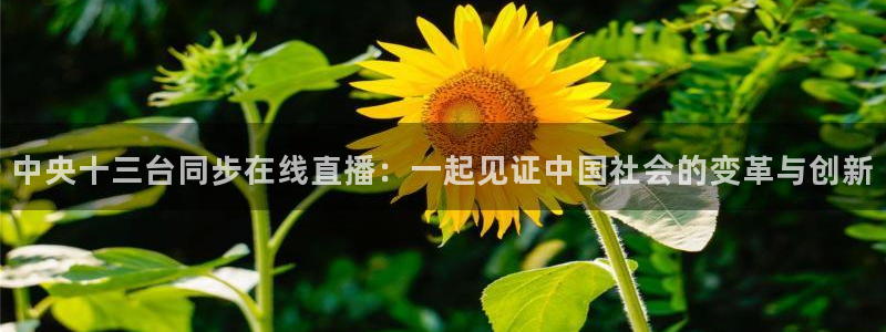 9255tv直播无插件nba：中央十三台同步在线直播：一起见证中国社会的变革与创新