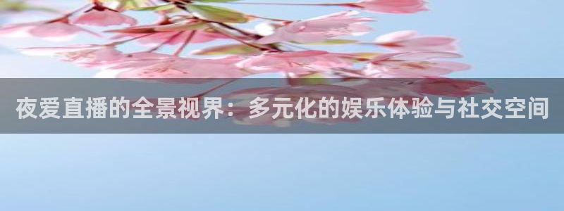 9255tv直播无插件nba：夜爱直播的全景视界：多元化的娱乐体验与社交空间