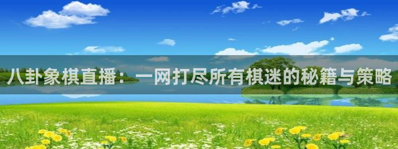 9255tv直播nba在线直播：八卦象棋直播：一网打尽所有棋迷的秘籍与策略