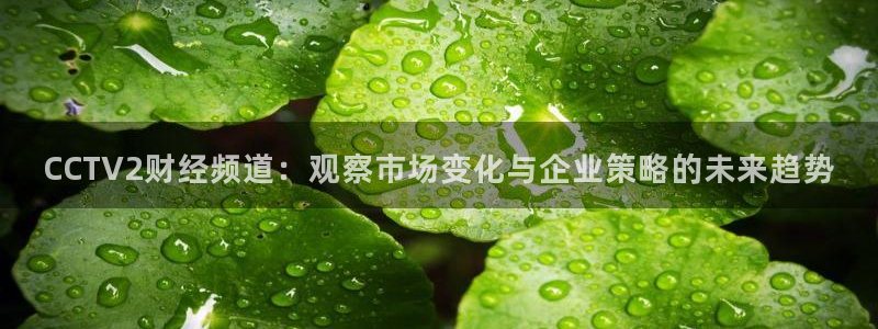 9255tv直播无插件nba：CCTV2财经频道：观察市场变化与企业策略的未来趋势